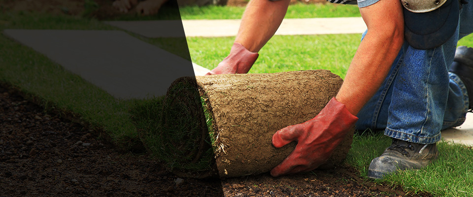 Fort Gratiot Landscapers